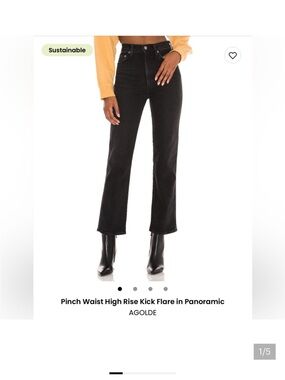 Agolde Pinch Waist High Rise Kick in Panoramic size 28
